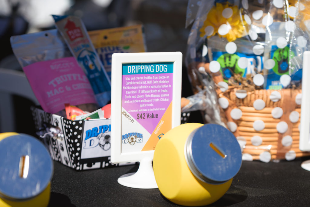 38 North grand-opening Yappy Hour