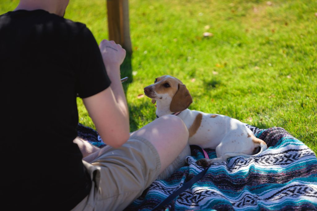 38 North grand-opening Yappy Hour