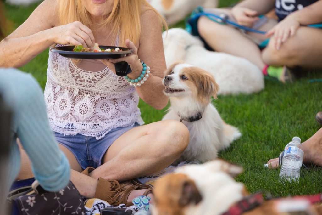 38 North grand-opening Yappy Hour