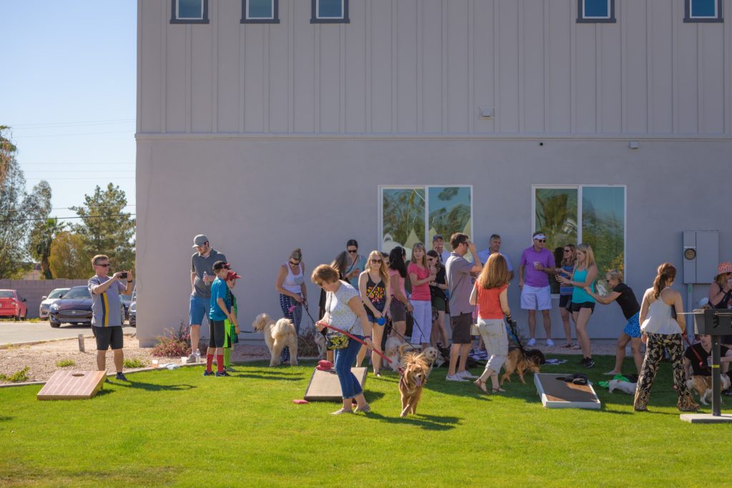 38 North grand-opening Yappy Hour