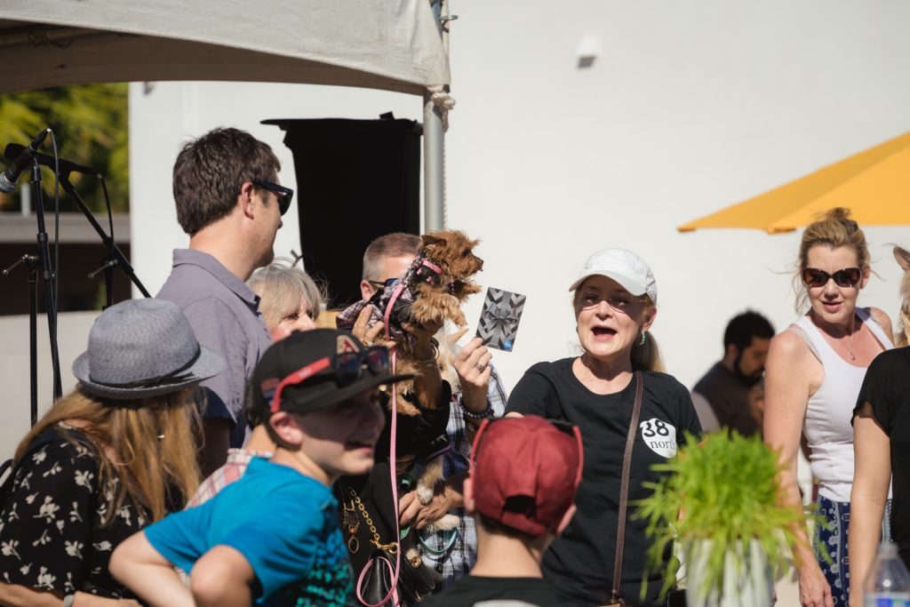 38 North grand-opening Yappy Hour