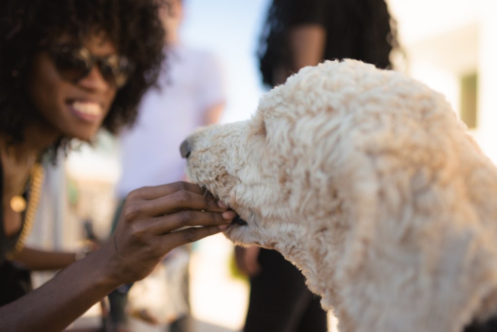 38 North grand-opening Yappy Hour